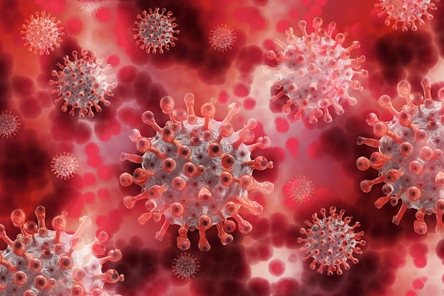 infekcny koronavirus